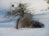 l-grasellenbach-2011-01-30-01
