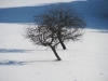 l-grasellenbach-2011-01-30-03_0